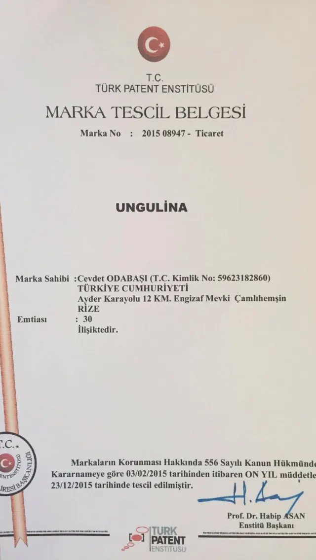 Ungulina Bal muayene ve analiz raporu, sayfa 1